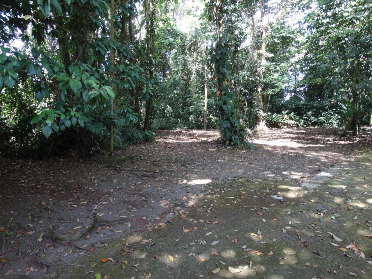 Horquetas River Lodge Sarapiquí Εξωτερικό φωτογραφία