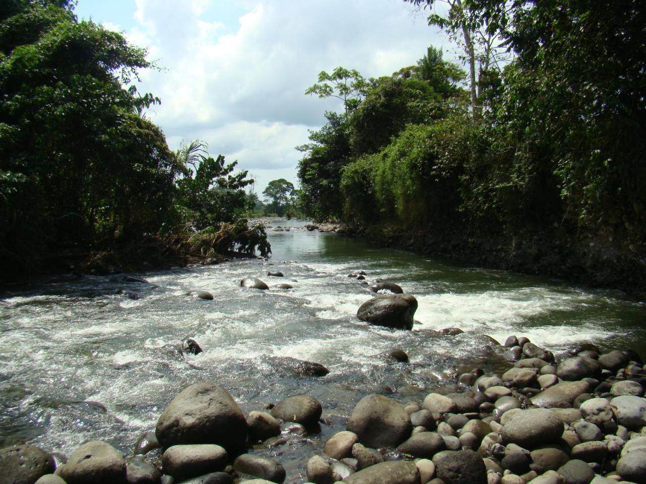 Horquetas River Lodge Sarapiquí Εξωτερικό φωτογραφία