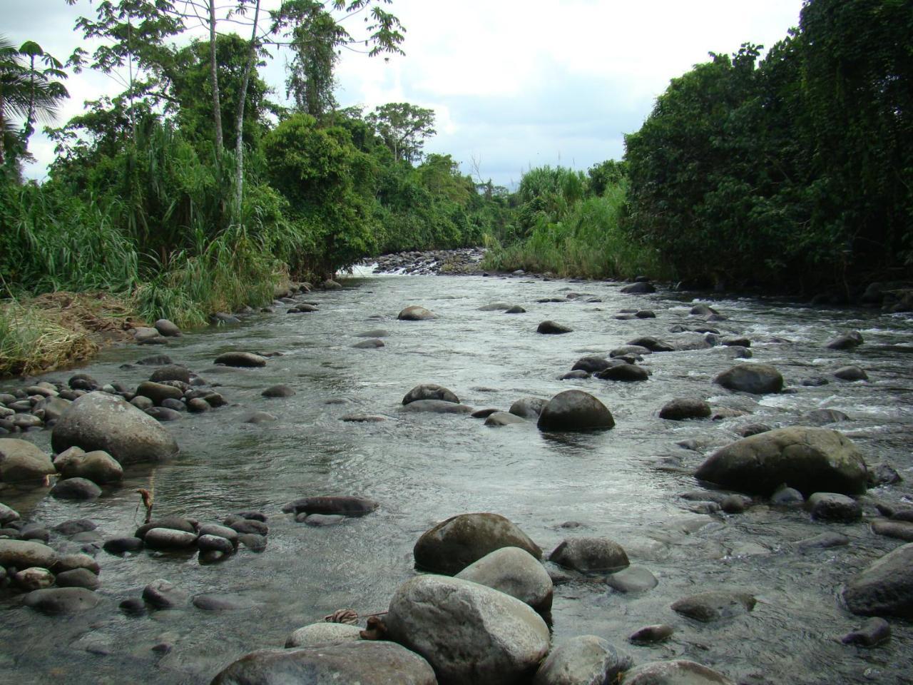 Horquetas River Lodge Sarapiquí Εξωτερικό φωτογραφία
