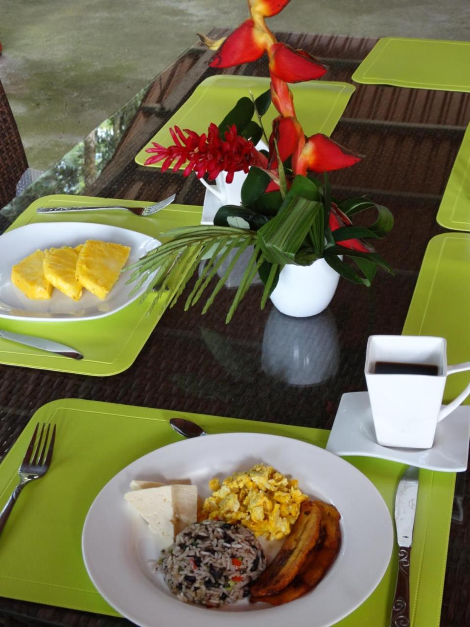 Horquetas River Lodge Sarapiquí Εξωτερικό φωτογραφία