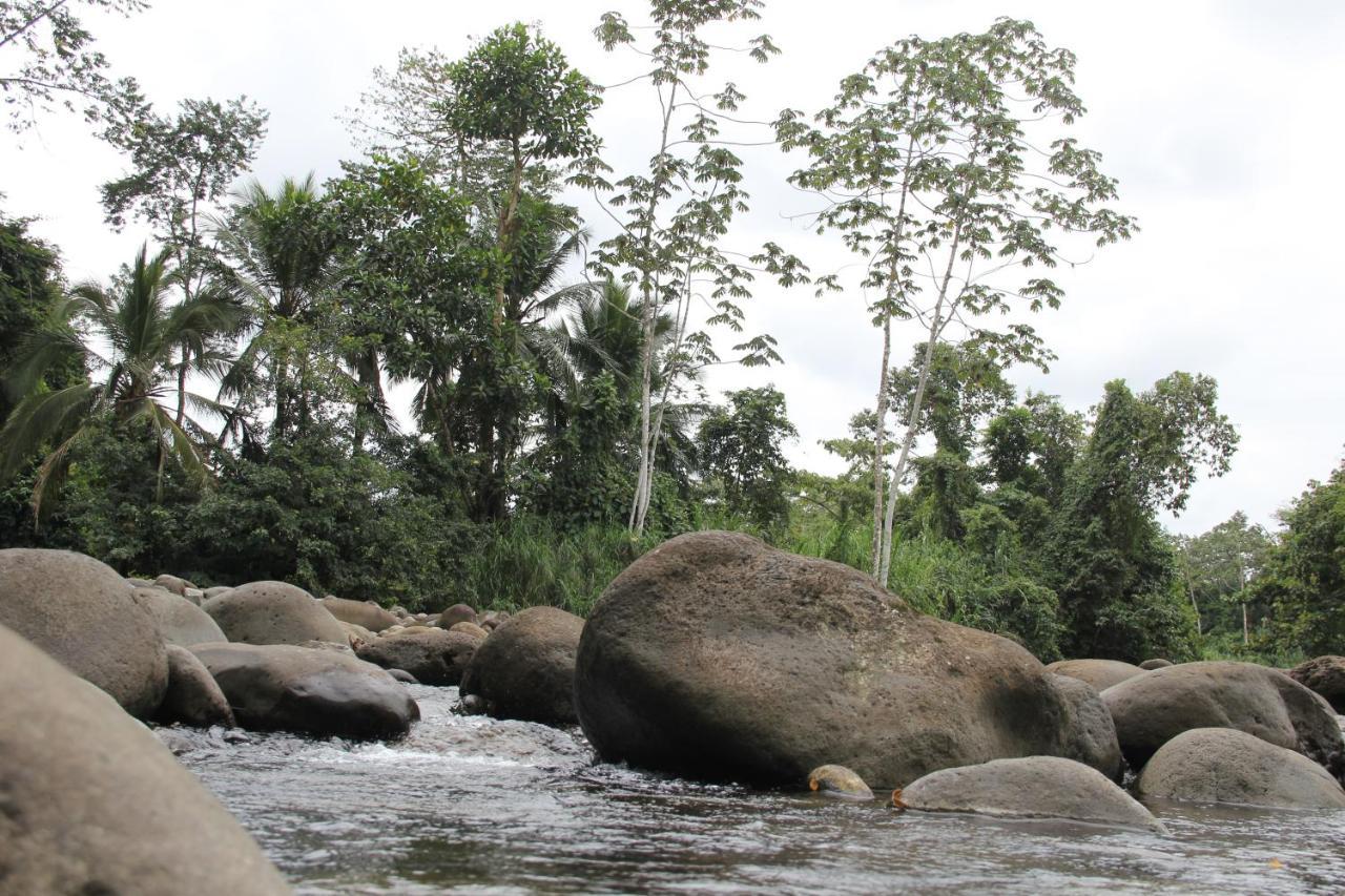 Horquetas River Lodge Sarapiquí Εξωτερικό φωτογραφία