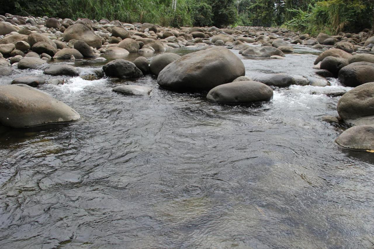 Horquetas River Lodge Sarapiquí Εξωτερικό φωτογραφία