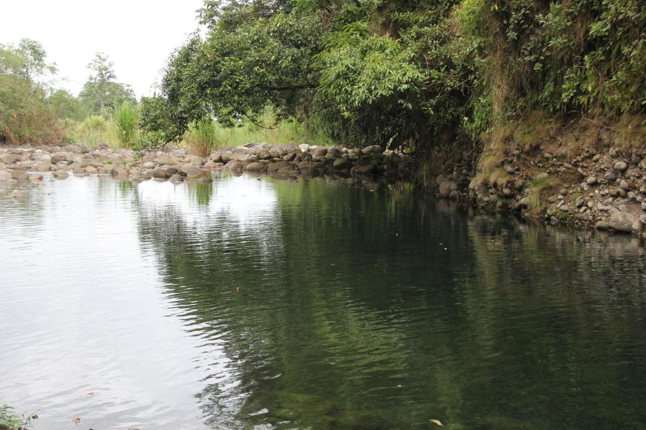 Horquetas River Lodge Sarapiquí Εξωτερικό φωτογραφία
