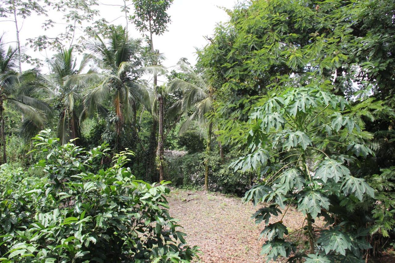 Horquetas River Lodge Sarapiquí Εξωτερικό φωτογραφία