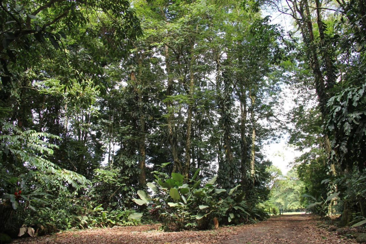 Horquetas River Lodge Sarapiquí Εξωτερικό φωτογραφία