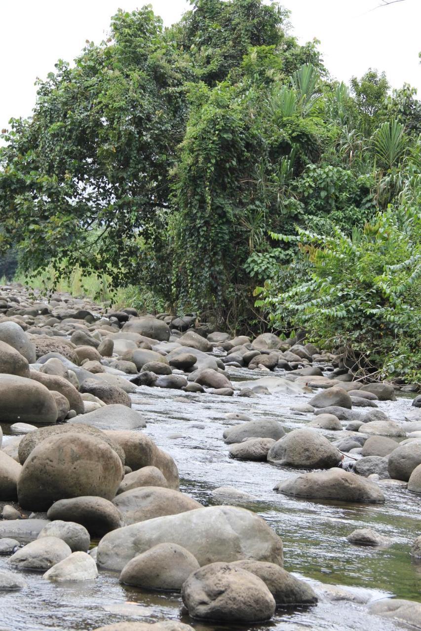 Horquetas River Lodge Sarapiquí Εξωτερικό φωτογραφία