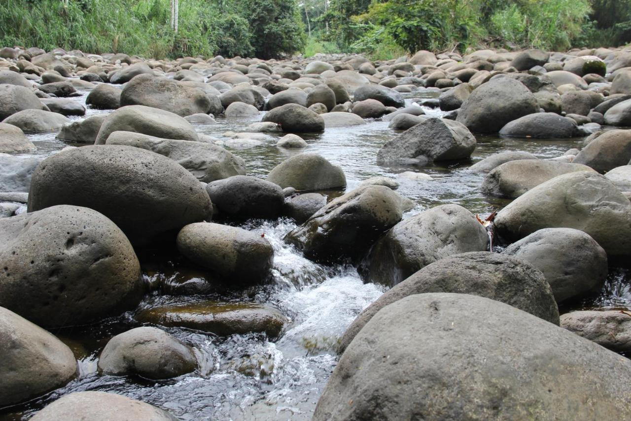 Horquetas River Lodge Sarapiquí Εξωτερικό φωτογραφία