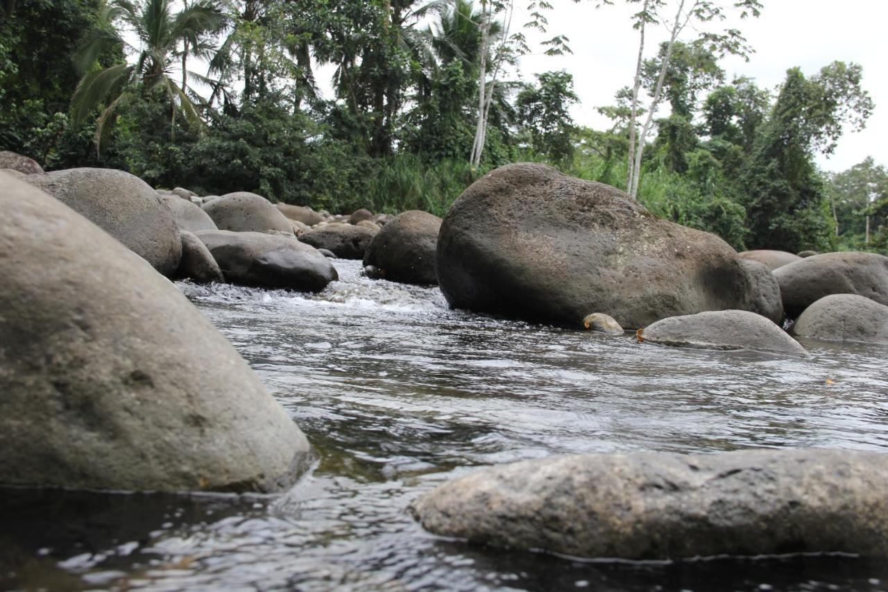 Horquetas River Lodge Sarapiquí Εξωτερικό φωτογραφία
