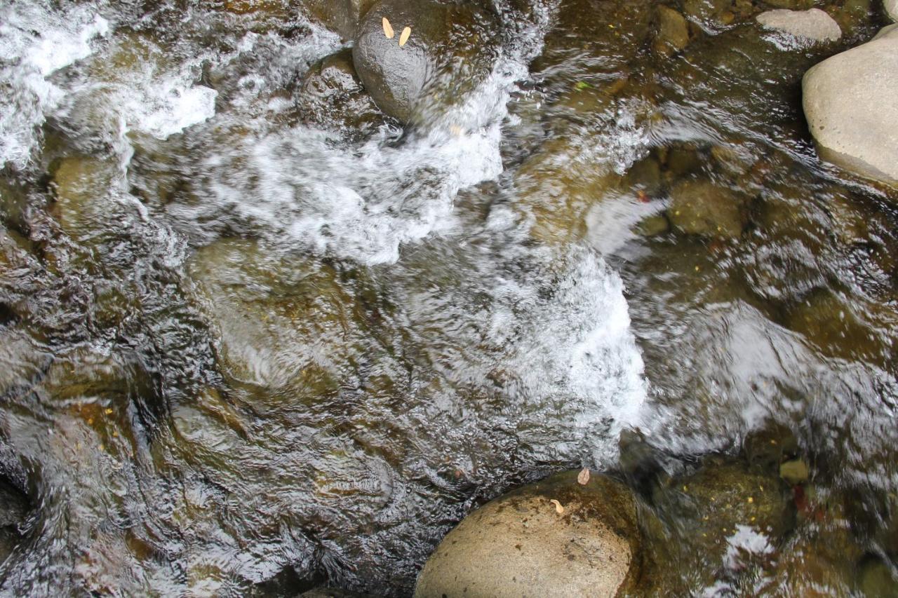 Horquetas River Lodge Sarapiquí Εξωτερικό φωτογραφία