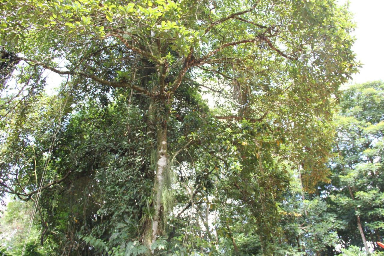 Horquetas River Lodge Sarapiquí Εξωτερικό φωτογραφία