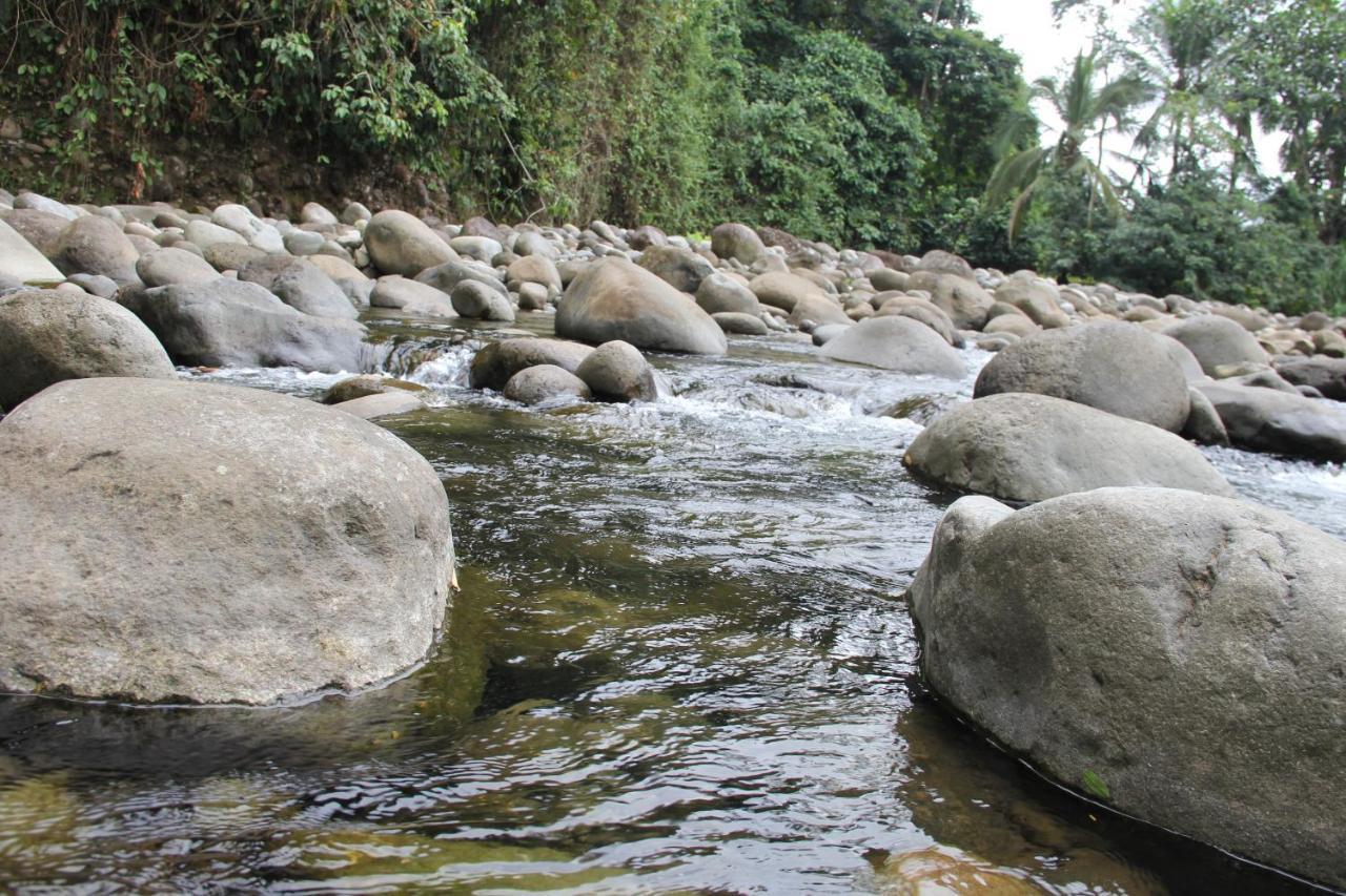 Horquetas River Lodge Sarapiquí Εξωτερικό φωτογραφία
