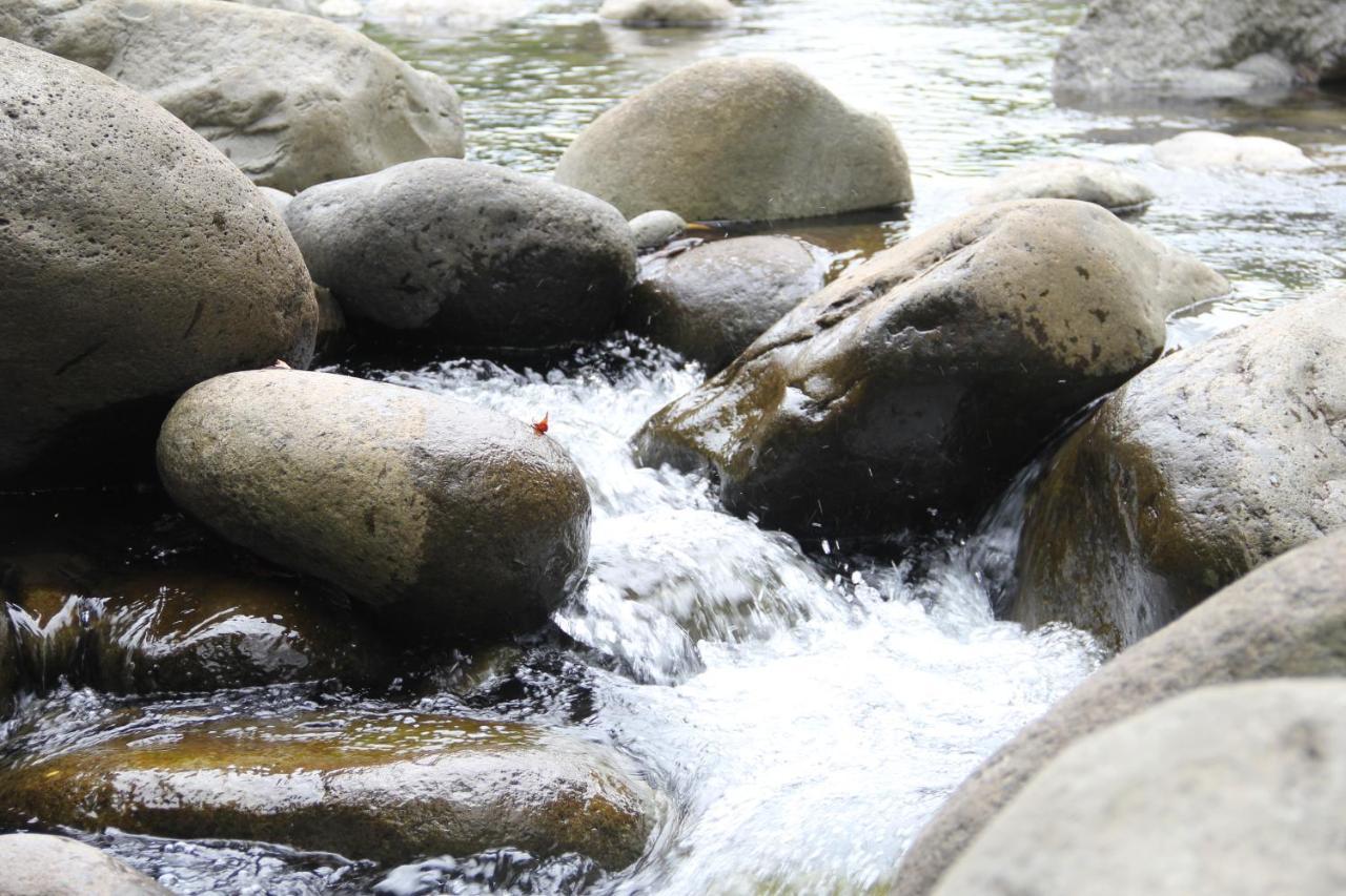 Horquetas River Lodge Sarapiquí Εξωτερικό φωτογραφία