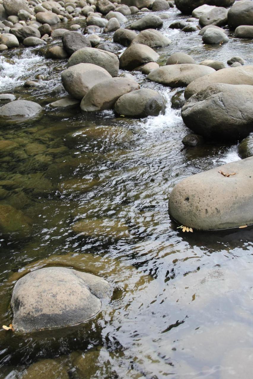 Horquetas River Lodge Sarapiquí Εξωτερικό φωτογραφία